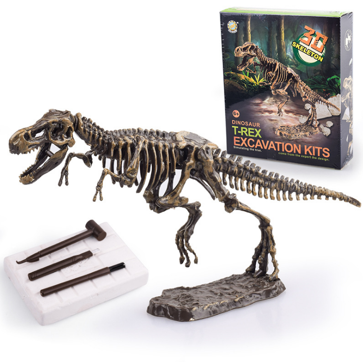 Dinosaur skeleton toy shop