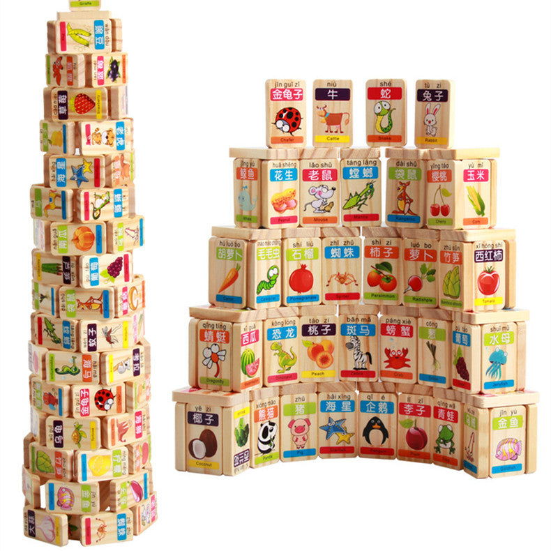 Chinese English Learning Wooden Domino Blocks Toys For Kids